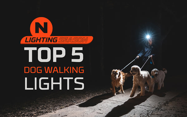 Check out our top 5 lighting picks for walking your dog